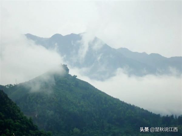 江西這款茶,有人說名字雖不算雅,但喝過一次就會愛上 江西這款茶,有人說名字雖不算雅,但喝過一次就會愛上