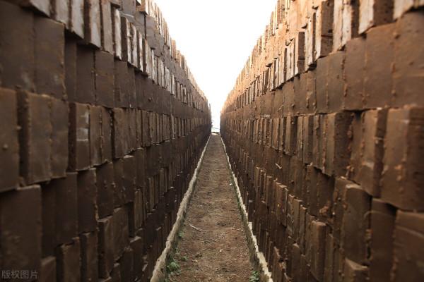 孬蛋兒掙了一條命 孬蛋兒掙了一條命