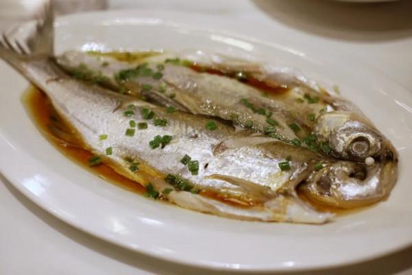 離上海一小時!夏日休閒度假,感受水鄉生活,這份攻略太貼心了 離上海一小時!夏日休閒度假,感受水鄉生活,這份攻略太貼心了