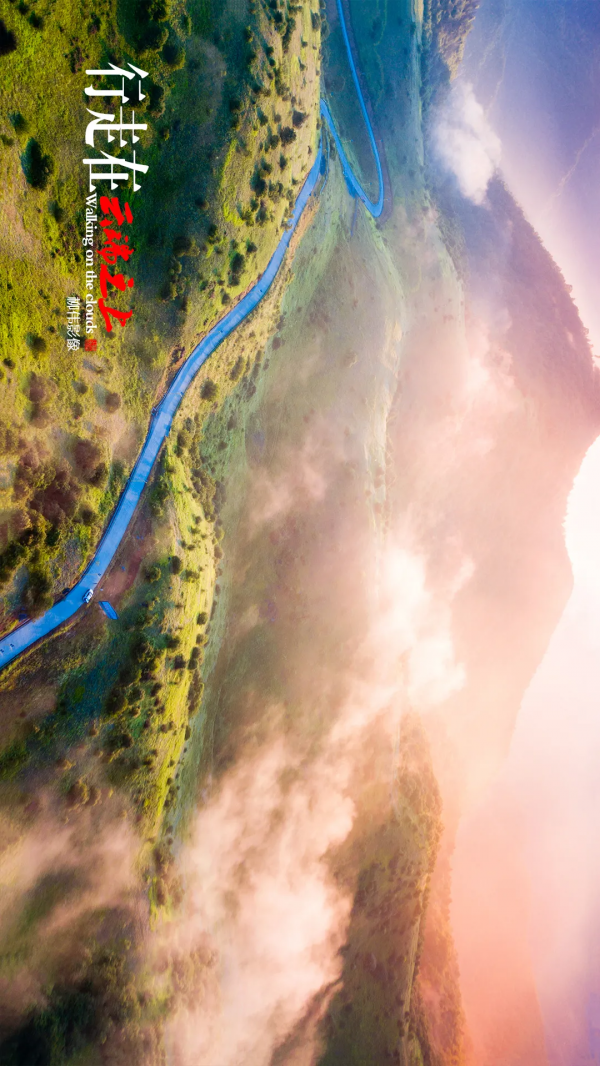 旋轉手機90° →哇！平利正陽雲端草甸這麼美嗎！