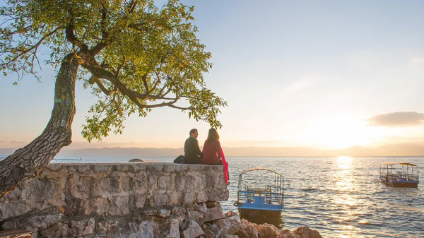 曾破吉尼斯世界紀錄！80萬畝花海齊綻放！這裡藏著國內最早的春天