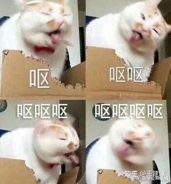 我對張靜初陶虹舒淇倡導吃素遭網友嘲諷和吃素食對身體的健康看法 我對張靜初陶虹舒淇倡導吃素遭網友嘲諷和吃素食對身體的健康看法