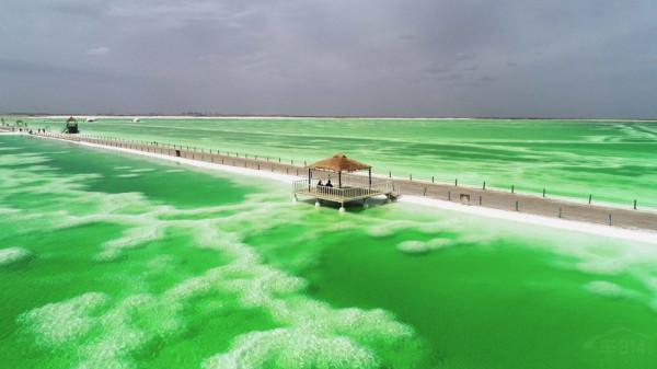 標緻4008環青海長測Day8：察爾汗鹽湖，最值得來的西北鹽湖之一！