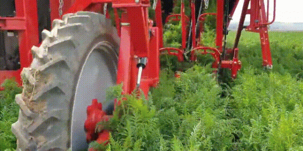 德國全機械化農業有多牛？看完讓你大開眼界，一個農民養活120人