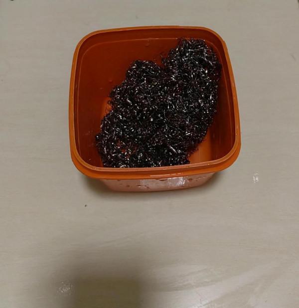 我的節儉生活之一