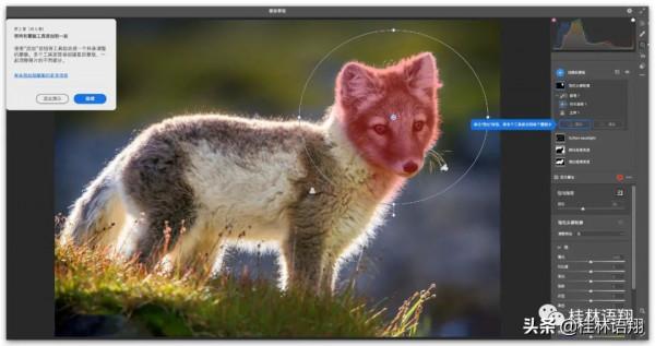 最詳細教程：最新ACR14&period;2獨立安裝包（Win&plus;Mac）