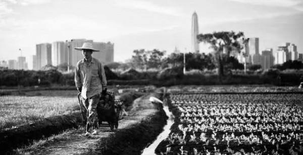 你知道嗎?深圳曾有4000畝地在香港 你知道嗎?深圳曾有4000畝地在香港