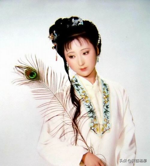 《紅樓夢》被問為何“釵瘦黛胖”，李少紅這樣解釋，讓人啼笑皆非