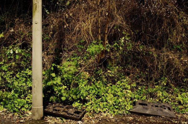 日本18歲漂亮女孩5年前被退役美國士兵謀害，背後的真相是什麼？