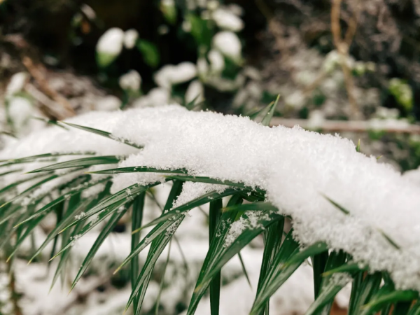 初雪如約而至！中華古瑤第一村美得如人間仙境