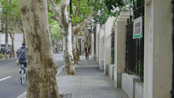 當一群高收入者決定不買房：30萬改造出租屋，一樣有歸屬感