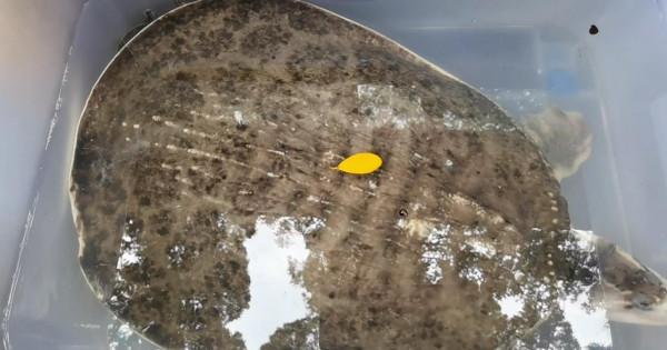 珠江邊的職業釣魚人,一天可賺六百,其他釣魚人:這樣釣魚不純粹 珠江邊的職業釣魚人,一天可賺六百,其他釣魚人:這樣釣魚不純粹