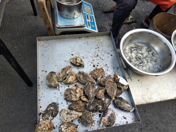 都是牡蠣,海蠣子和生蠔有何區別?弄懂再買不吃虧 都是牡蠣,海蠣子和生蠔有何區別?弄懂再買不吃虧