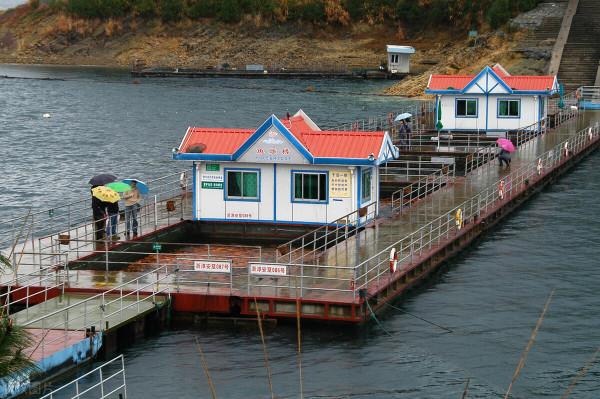千島湖的“兩大難”:鰱鱅放養60年,“保水魚”保住了什麼? 千島湖的“兩大難”:鰱鱅放養60年,“保水魚”保住了什麼?
