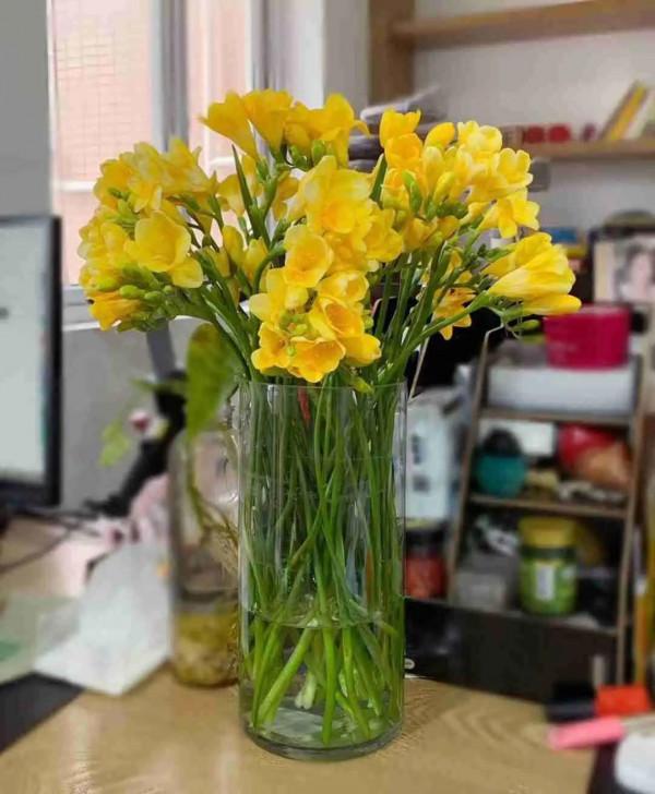 8種花養屋子裡,滿屋香味兒,雅緻又唯美 8種花養屋子裡,滿屋香味兒,雅緻又唯美