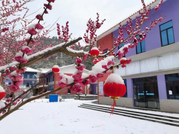 春雪紛飛染冬色 黔地皚皚似北國