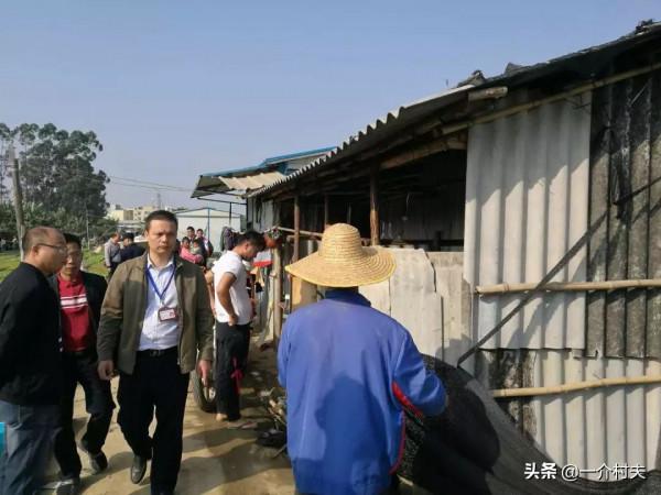 2月起，農村全面清除&OpenCurlyDoubleQuote;私搭亂建&rdquo;，5類房屋要拆除！希望沒你家的