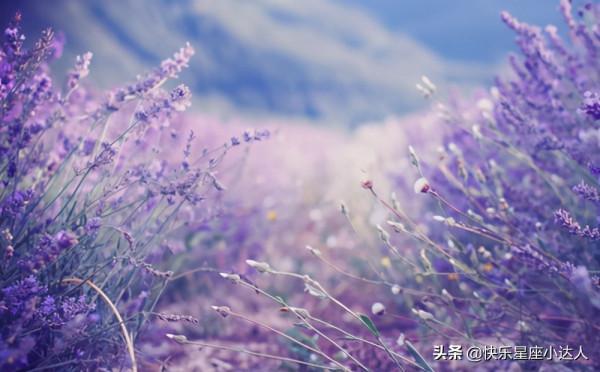 最會嘲笑別人的三大星座 最會嘲笑別人的三大星座