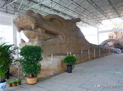 369米長的天下第一石龍之謎