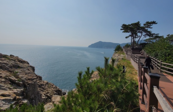 春日的開始與山茶花一起散步的島嶼——知心島