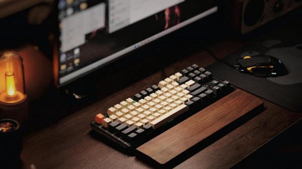 賤驢鍵鼠套裝：高顏值有RGB還能換軸，玩遊戲太香了