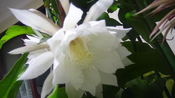 立冬的季節 冬眠的模式