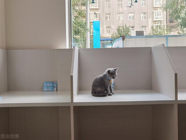 網紅達人手工耿,常年住在30平方工作室,花費13萬改造成7大空間 網紅達人手工耿,常年住在30平方工作室,花費13萬改造成7大空間