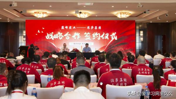 浪莎集團巨資進軍建材行業，聯合巔峰實業推出浪莎美縫劑