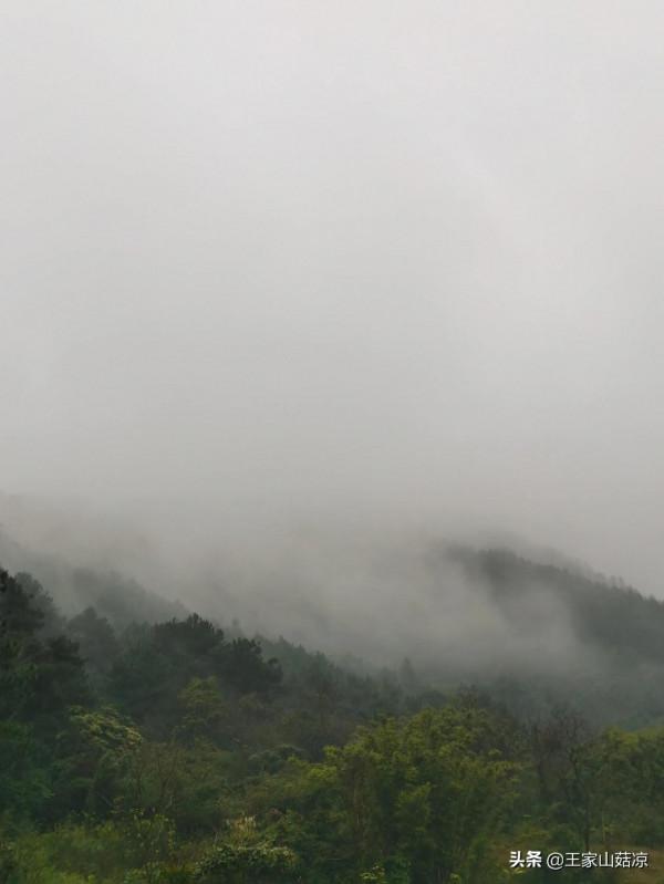 廣西深山美景，這是傳說中的仙境嗎？