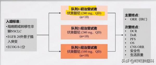 遭遇腫瘤難治性靶點:提高藥物劑量,或能破解 遭遇腫瘤難治性靶點:提高藥物劑量,或能破解