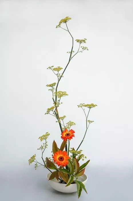 超美花藝，淨化心靈