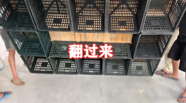 終於集齊了12個水果塑膠筐,動動手自己diy個床鋪,可收納還環保 終於集齊了12個水果塑膠筐,動動手自己diy個床鋪,可收納還環保