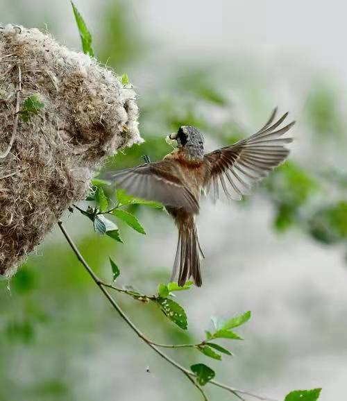 謝建英：抹不去的思念