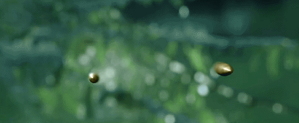 《王牌部隊》口碑走高，除了有老演員加持，這5點也不容忽視