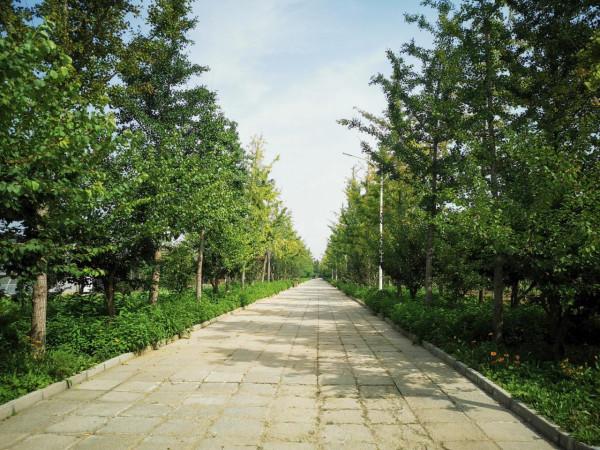 北京最大的一塊地熱田原來在這裡! 北京最大的一塊地熱田原來在這裡!