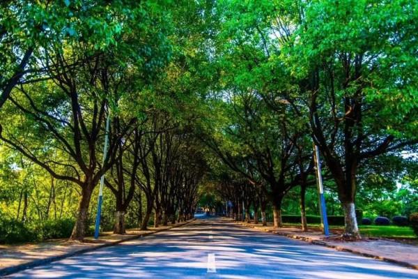 美麗的湖南科技大學