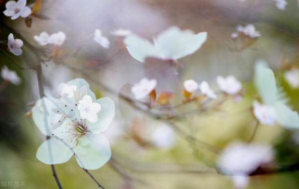 當你覺得快要撐不下去時,不妨看看這幾句話 當你覺得快要撐不下去時,不妨看看這幾句話