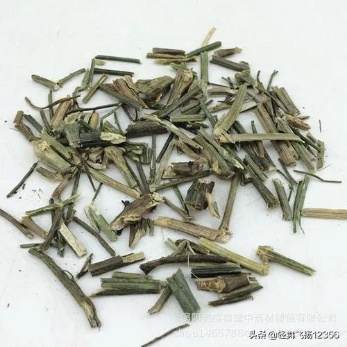 介紹一味非常苦的穿心蓮，清熱解毒又消腫，你對它有了解嗎？