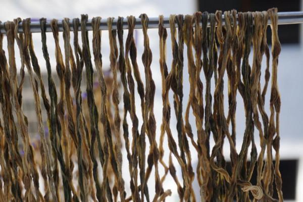 曬豆角幹用焯水嗎?教你正確的做法,曬乾燉肉特別香,放一年不壞 曬豆角幹用焯水嗎?教你正確的做法,曬乾燉肉特別香,放一年不壞