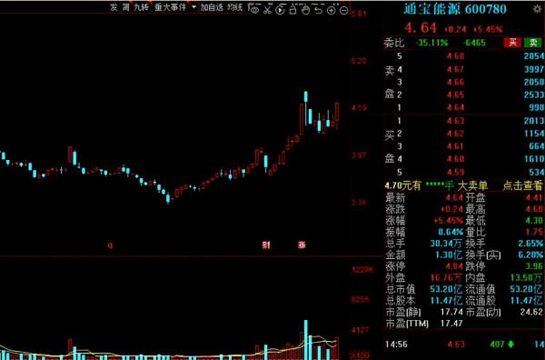 “綠色電力”搶佔市場風口！20家機構扎堆的低估值電力股出爐