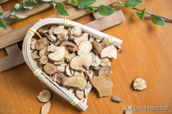 夜尿頻繁?送你三味中藥,助你補脾益肺,溫腎助陽,遠離起夜煩惱 夜尿頻繁?送你三味中藥,助你補脾益肺,溫腎助陽,遠離起夜煩惱