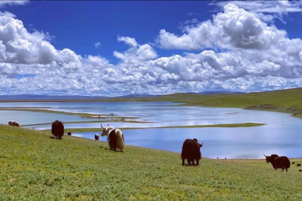 心腎不交、失眠煩躁怎麼辦?教你一招,輕鬆搞定睡眠好 心腎不交、失眠煩躁怎麼辦?教你一招,輕鬆搞定睡眠好