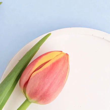 C2椎動脈高跨置釘技術之N