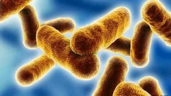 質疑洩露新冠病毒，防護最高級別的德特里克堡到底還有哪些黑料