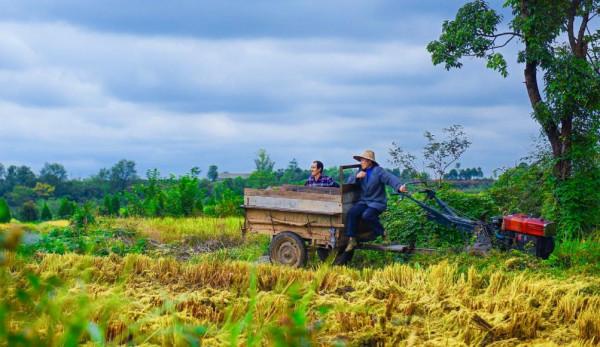 老話說：“月夕秋分前，必定是災年”，並非迷信，古人智慧之談