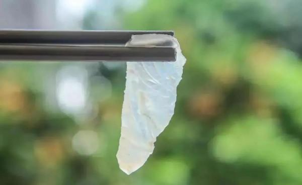 順德遊記:一個被飲食寵壞的城市 順德遊記:一個被飲食寵壞的城市