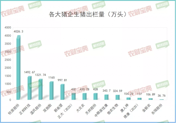 1.08億頭！12家巨頭竟出欄全國六分之一的豬！牧原4年翻4倍！下一個彎道超車的會是誰？| 農財數讀
