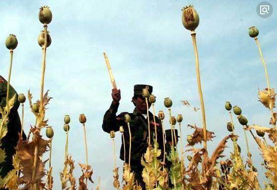 緬北風雲人物之果敢王彭家聲