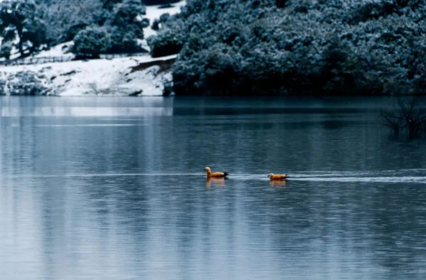 雪後的西藏,最聖潔~~ 雪後的西藏,最聖潔~~