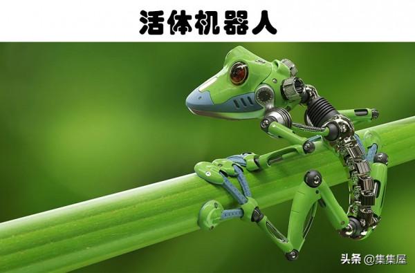 元宇宙是什麼？在未來可能改變世界的5個新興技術